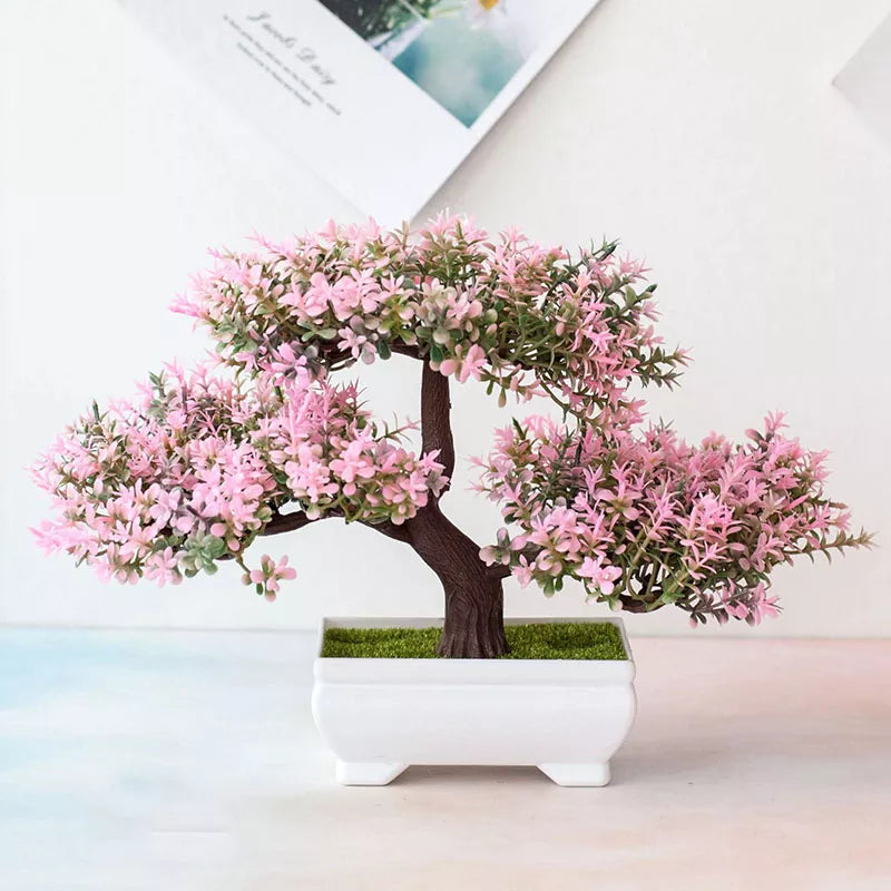 Bonsai Small Tree