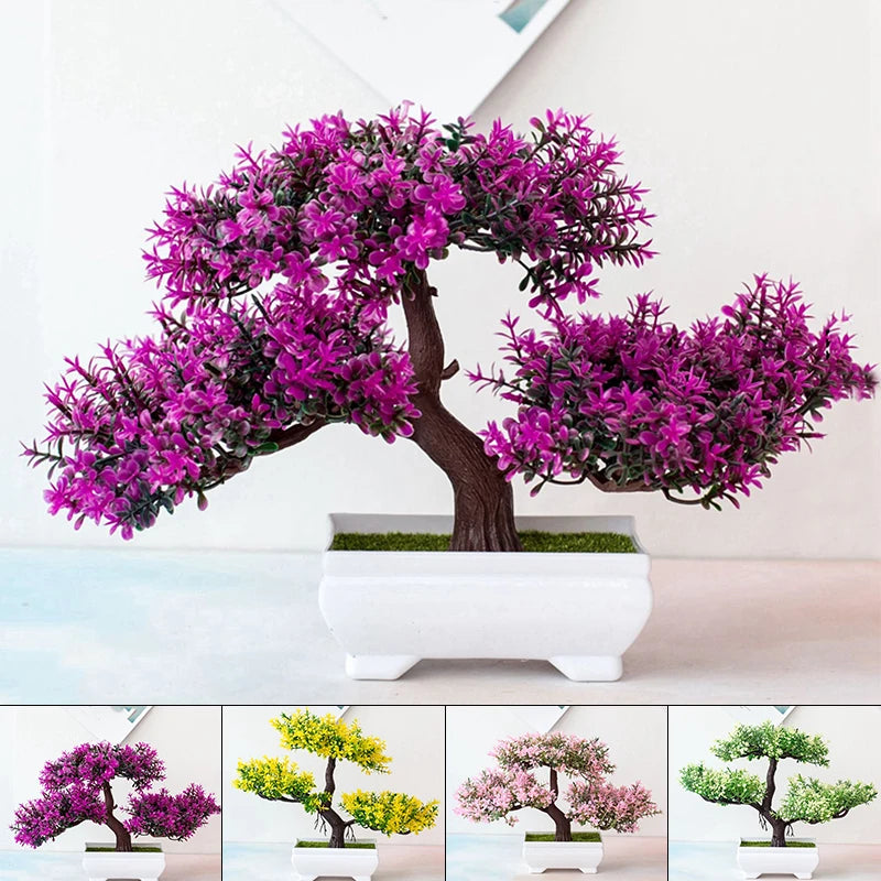 Bonsai Tree Small