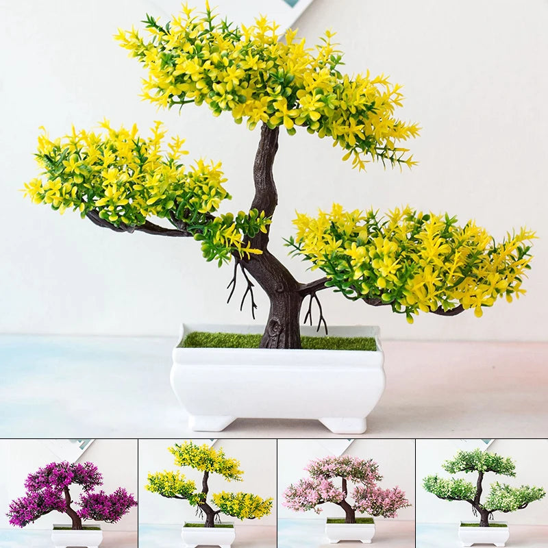 Bonsai Tree Small